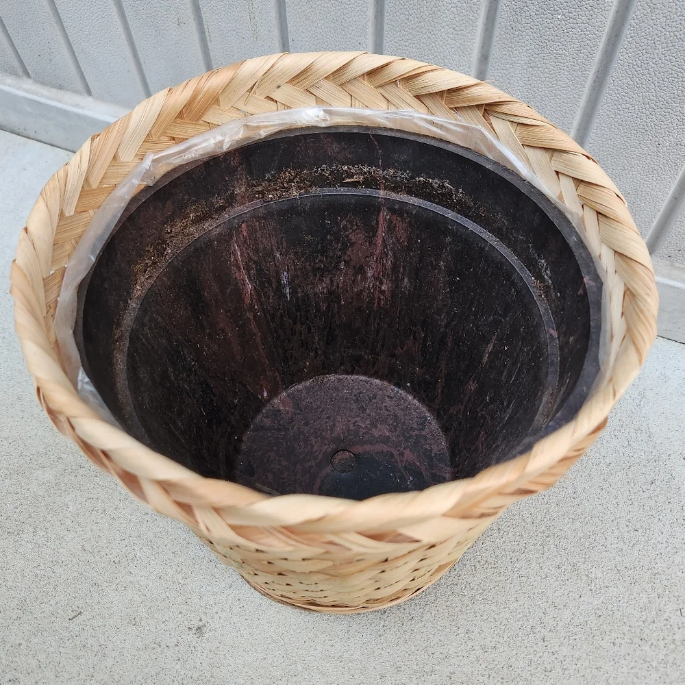 🪴 Woven Basket Planter 🪴